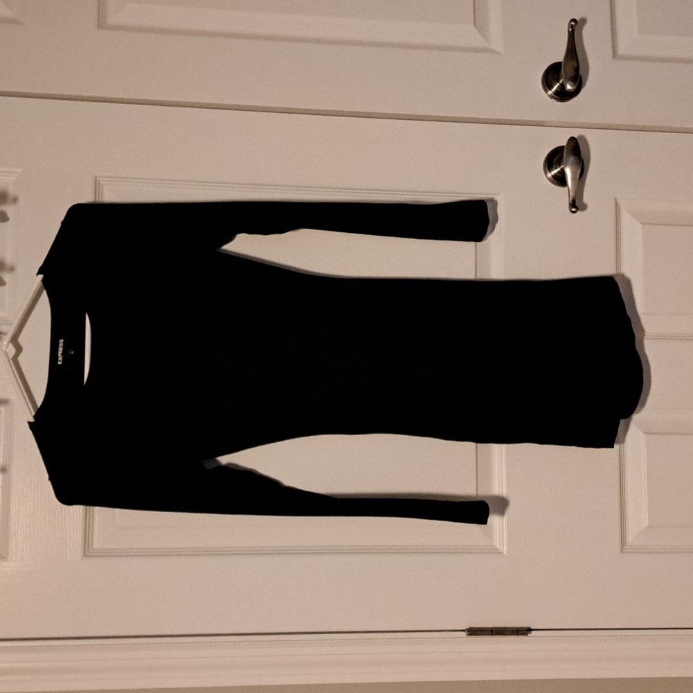 EXPRESS Ruched Long Sleeved Sweater Dress
